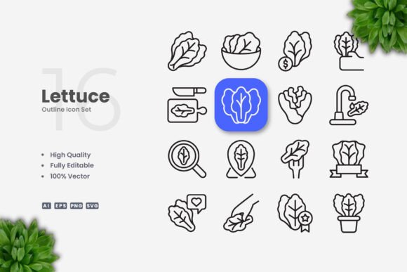Lettuce Icons: Fresh Graphics for Modern Web Icons